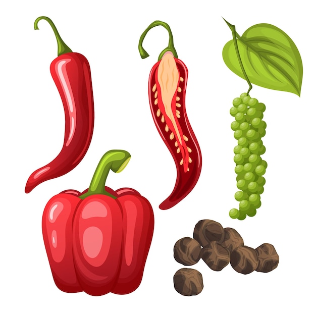 Pepper black chili cartoon vector