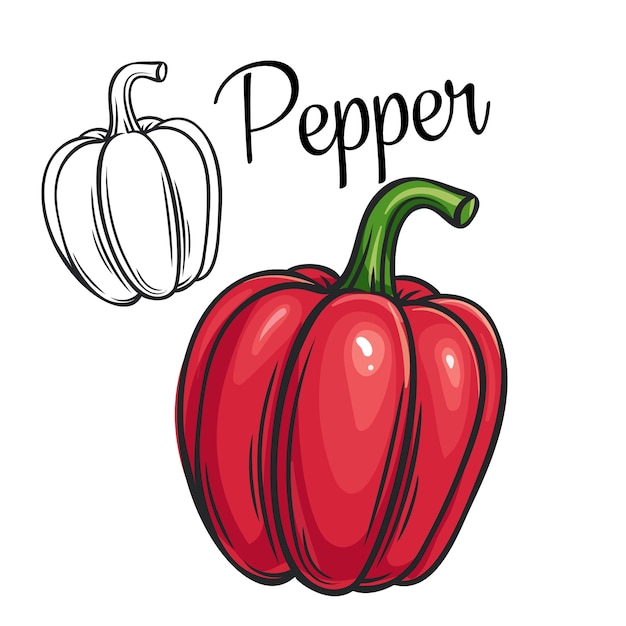 Pepper drawing icon shop or market