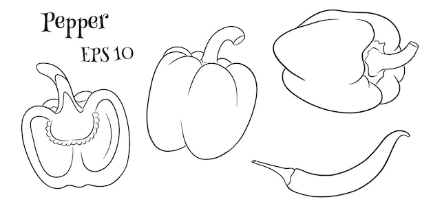 Pepper set Fresh bell peppers and hot peppers In line style coloring book