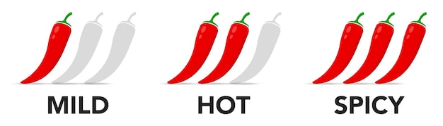 Pepper spice level Red chili pepper Spicy meter Vector illustration