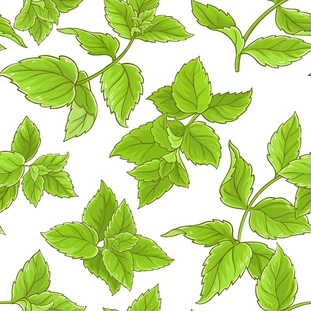 Peppermint vector pattern