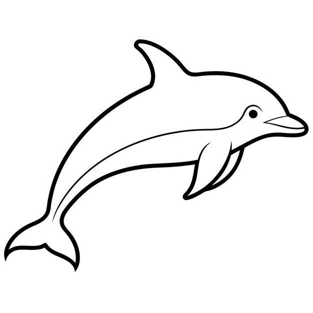 Vector perfect dolphin cetacean vector illustration colorful silhouette amp line art