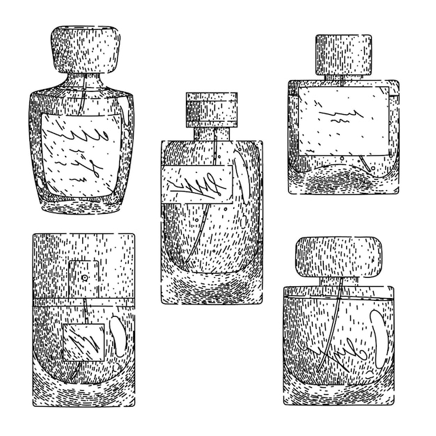 perfum bottle male set sketch hand drawn vector