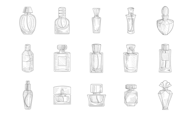 Vector perfume handdrawn collection