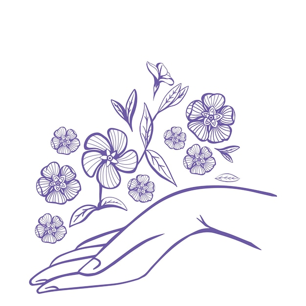 Periwinkle flower over Women's Hand against White Background Good for Feminine and Eco Friendly Products illustration