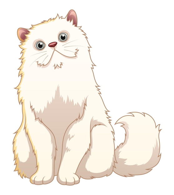 Persian Cat Cartoon Animal Illustration