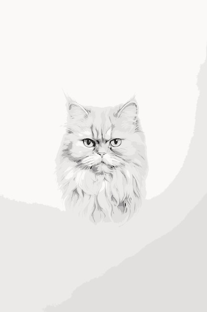 Persian kitten cat