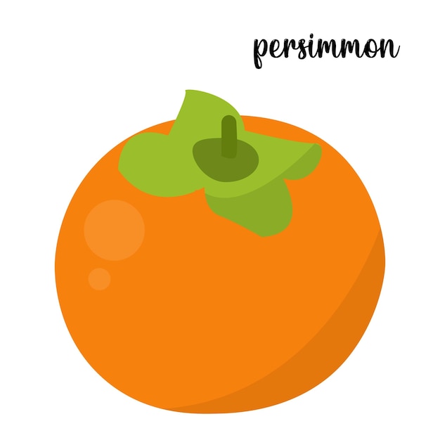 Persimmon fruit vector illustration