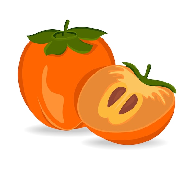 Persimmon isolated on a white background A concept for stickers posters postcards websites