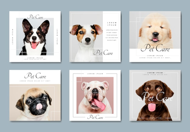 Vector pet care banner template vectors collection