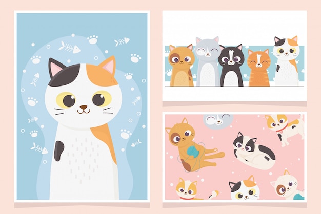 pet cats adorable playing fishbone paw cartoon cards illustration