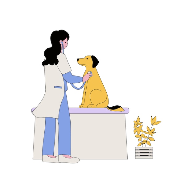 Vector pet doctor examining a dog