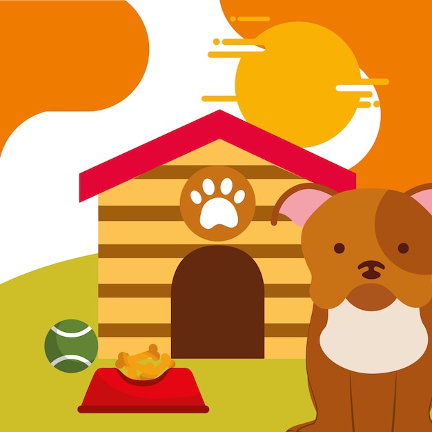 pet dog sitting with food and toy ball dog house 