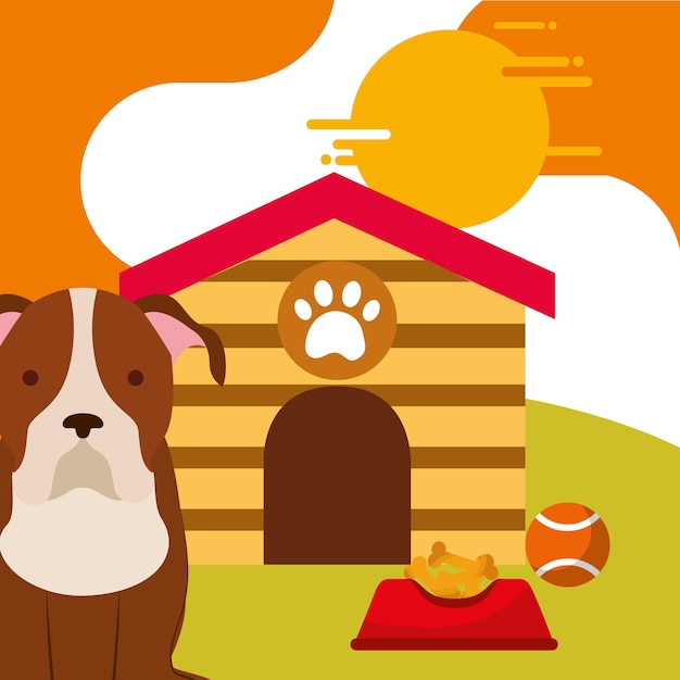 pet dog sitting with food and toy ball dog house