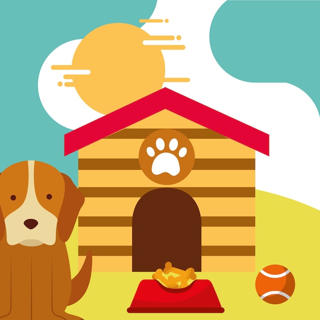 pet dog sitting with food and toy ball dog house