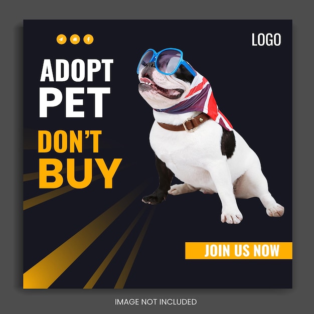 pet social media post design, Instagram template design