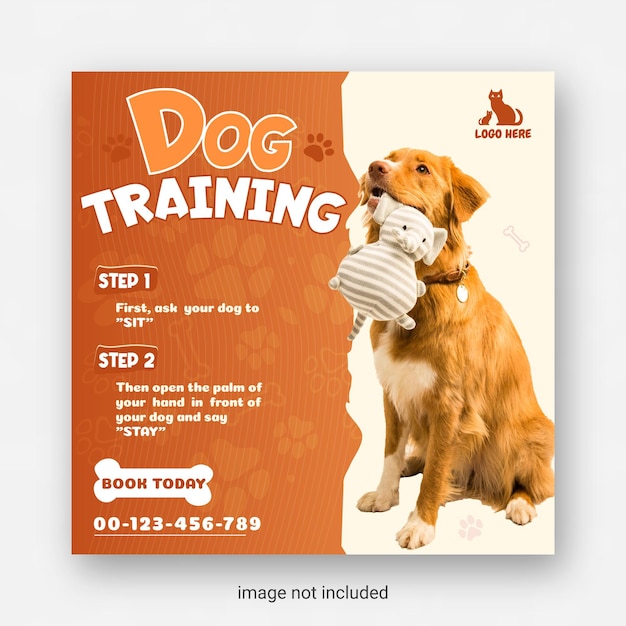 Vector pet training social media post and instagram template