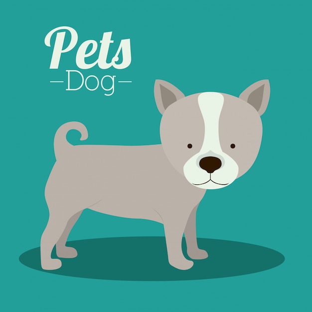 Pets design