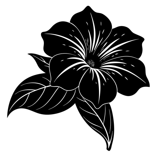 Vector petunia flower silhouette vector illustration