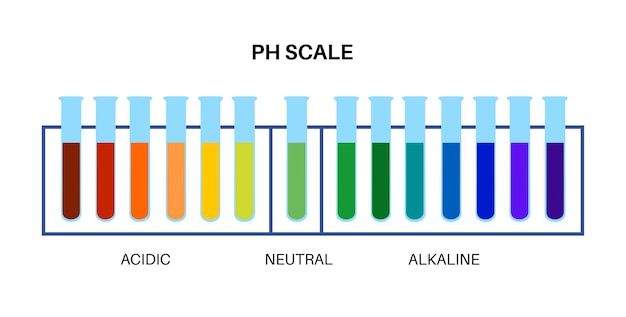 PH scale diagram