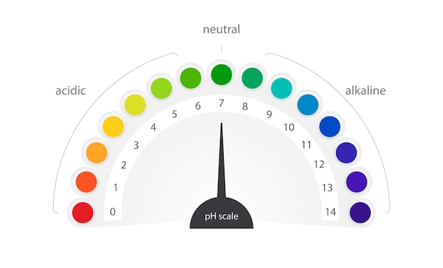 PH scale vector indicator chart diagram acidic alkaline measure