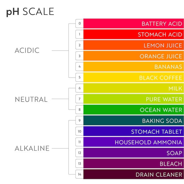 PH Value scale chart. Acid-base balance infographic. Education Poster