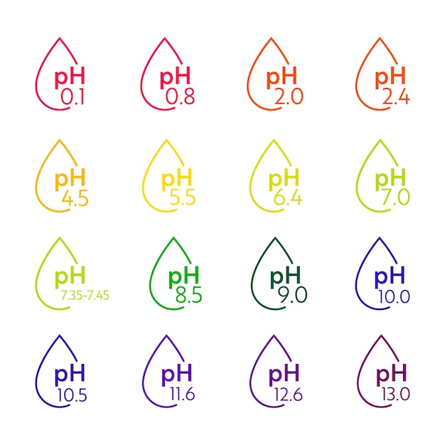 PH Value scale icons. Acid-base balance infographic. Education Poster