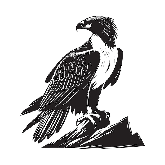 Vector philippine eagle bird silhouette clipart design eagle bird vector illustration in black and white