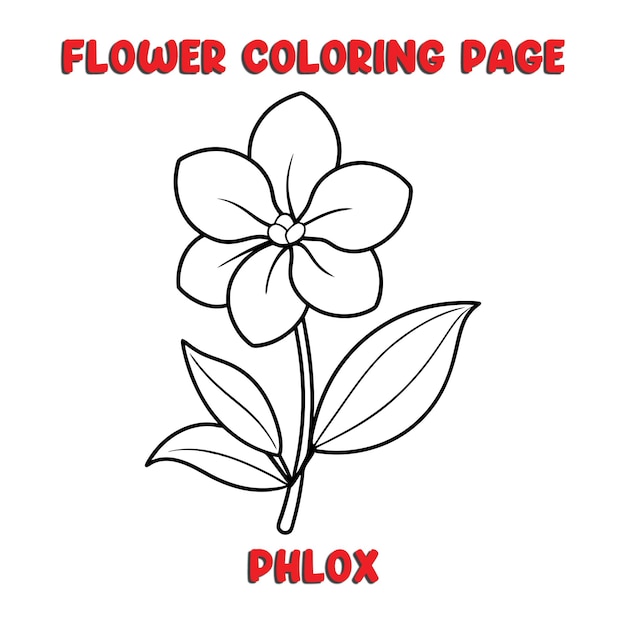 Vector phlox flowers coloring book for kids