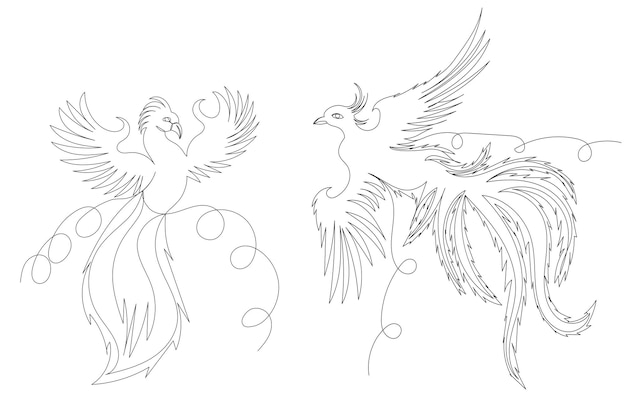 Phoenix bird one line drawing outline vector