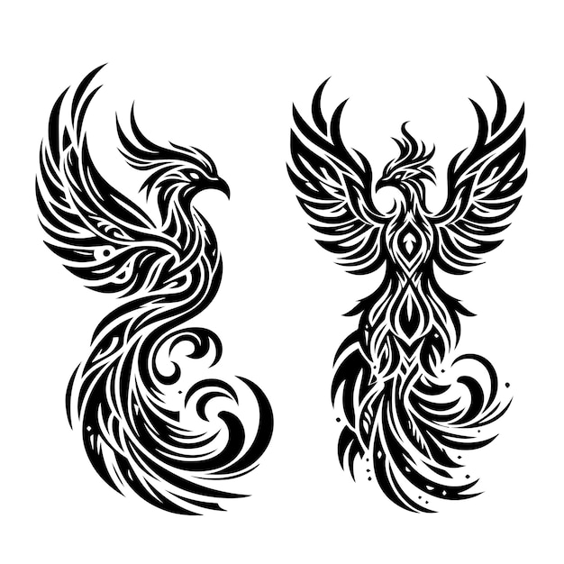 phoenix bird tattoo illustration