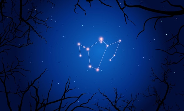 Phoenix constellation, Bright constellation in open space, blue sky, Starry sky behind tree branches