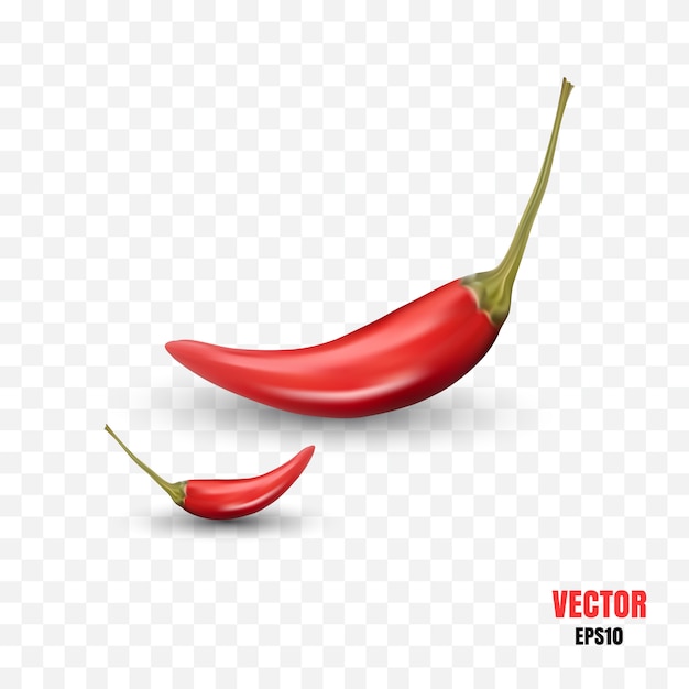 Photo Realistic 3d Illustration of Hot Chili Peppers Isolated