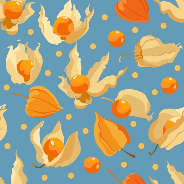 Physalis berries or golden berry seamless pattern. Vector illustration.