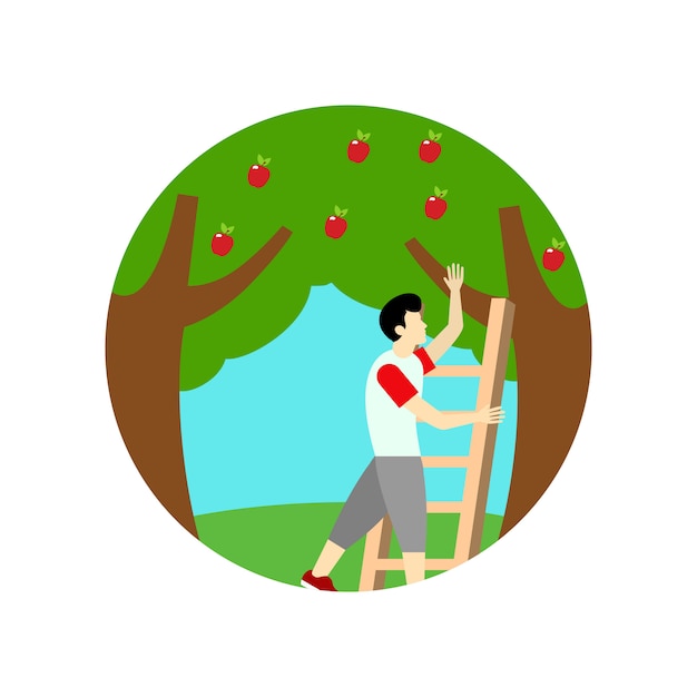 Picking apple fruit illustration