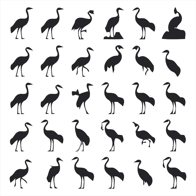 Vector a picture of birds in black and white