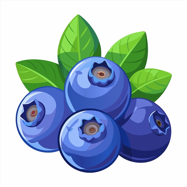 Vector a picture of blueberries with green leaves