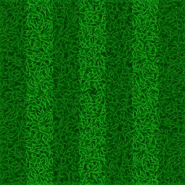 Vector picture of grass field