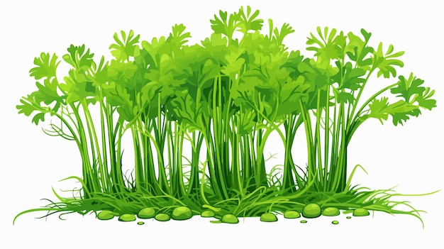 a picture of a grass with a green sprig of parsley