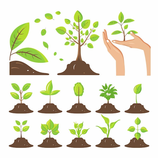 Vector a picture of a hand holding a plant with the words quot seedling quot on it