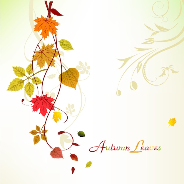 Vector a picture of leaves and the text autumn is on a white background