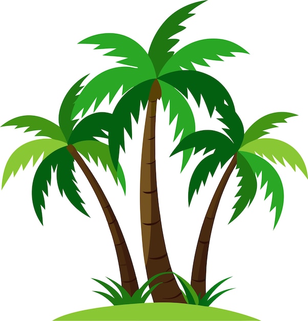 a picture of a palm tree with the word  palm  on it