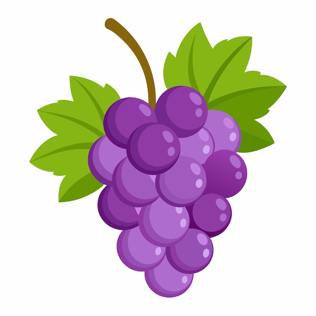 a picture of a purple grapes with green leaves