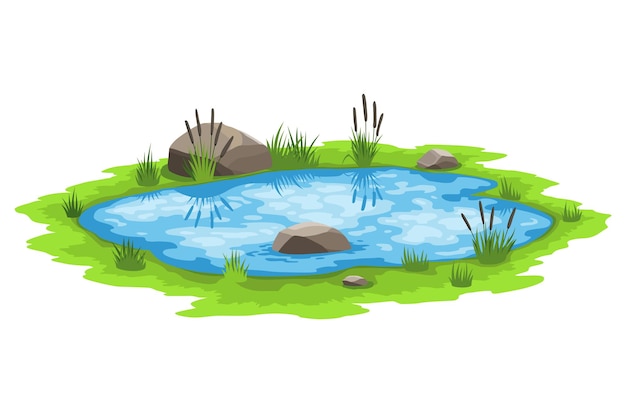 Picturesque natural pond Blue water pond with reeds and stones Concept of outdoor scene Open small swamp lake Countryside landscape