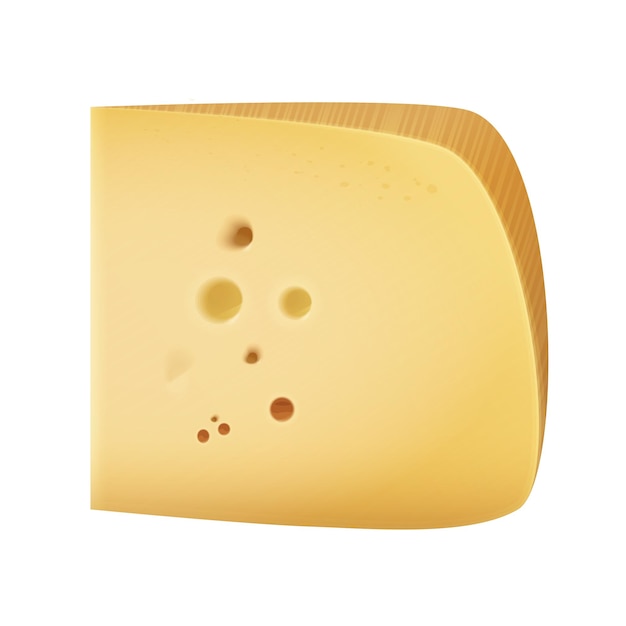 Vector piece of cheese