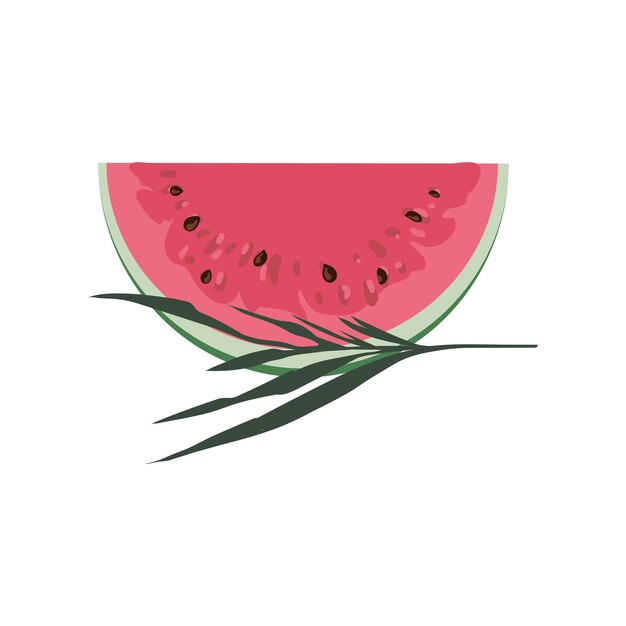 A piece of watermelon in cartoon style