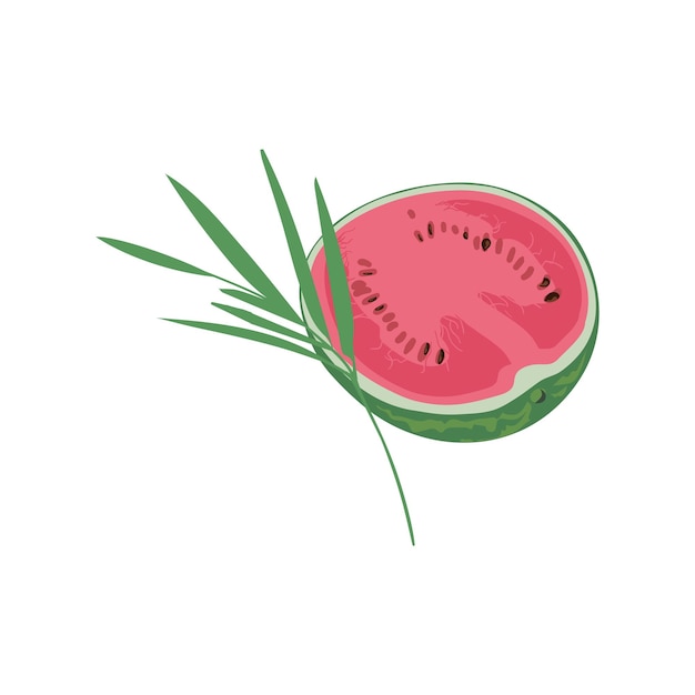 A piece of watermelon in cartoon style