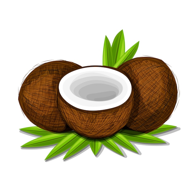 Pieces of coconut with leaves isolated on white background.