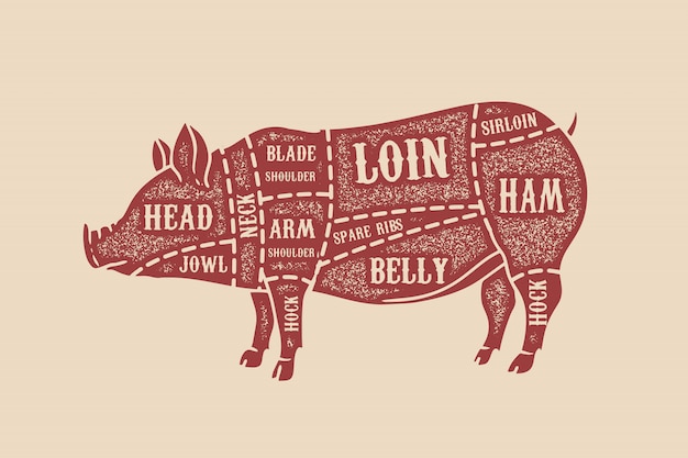 Pig butcher diagram. Pork cuts.  element for poster, card, emblem, badge.  image