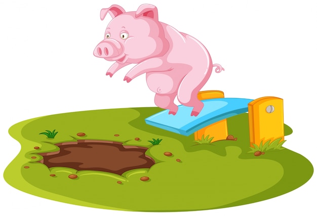 Pig jumping in muddy puddle